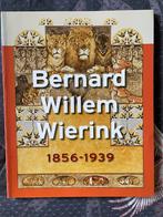 Kunstmonografie Bernard Willem Wierink, Ophalen of Verzenden, Zo goed als nieuw