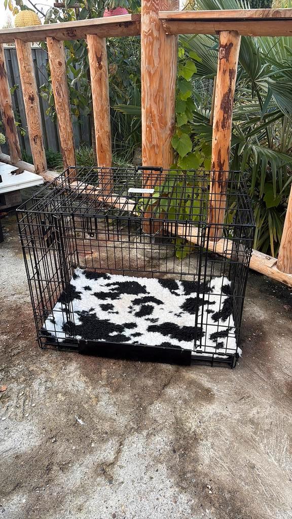 Hondenbench klein, Dieren en Toebehoren, Hondenhokken, Zo goed als nieuw, Hondenhok, Minder dan 65 cm, 75 tot 110 cm, Ophalen