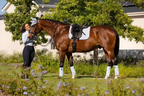 LeMieux Suede dressuur dekje Mist Full SALE!, Dieren en Toebehoren, Paarden en Pony's | Dekens en Dekjes, Nieuw, Dekje, Ophalen of Verzenden