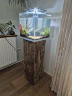Superfish 30l aquarium, Dieren en Toebehoren, Vissen | Aquaria en Toebehoren, Ophalen, Zo goed als nieuw
