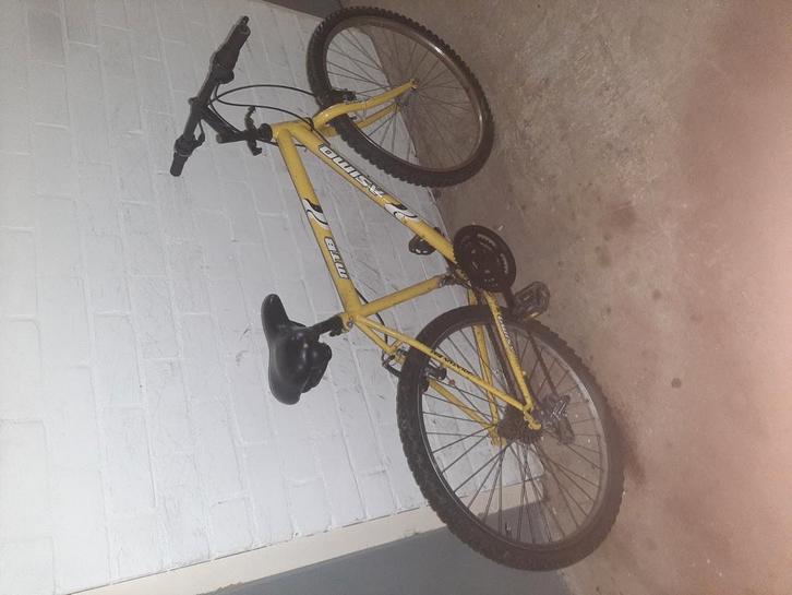 Mountainbike, Fietsen en Brommers, Fietsen | Crossfietsen en BMX, Gebruikt, 24 inch of meer, Staal, Ophalen