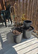 Bloemenbakken, plantenbakken, gratis, Tuin en Terras, Bloembakken en Plantenbakken, Ophalen, Zo goed als nieuw