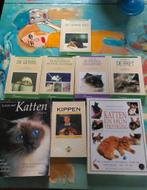 Leuke dierenboeken rat muis gerbil kat kip fret, Boeken, Dieren en Huisdieren, Gelezen, Ophalen of Verzenden, Konijnen of Knaagdieren