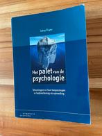 Het palet van de psychologie - Rigter, Ophalen of Verzenden, Zo goed als nieuw, HBO