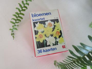 Bloemen kwartet van Jumbo beschikbaar voor biedingen