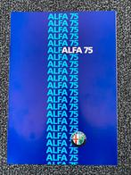 Autofolder Alfa 75, Ophalen of Verzenden, Zo goed als nieuw, Alfa Romeo