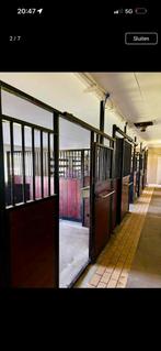 STAL TE HUUR, Dieren en Toebehoren, Stalling en Weidegang