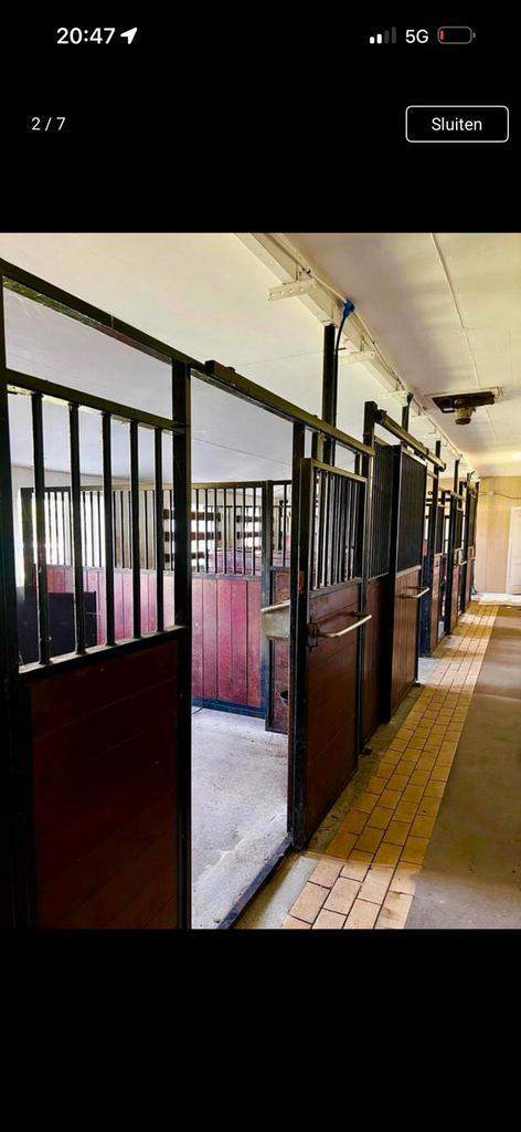 STAL TE HUUR, Dieren en Toebehoren, Stalling en Weidegang