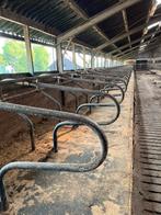 Ligboxen R boxen, Dieren en Toebehoren, Stalling en Weidegang