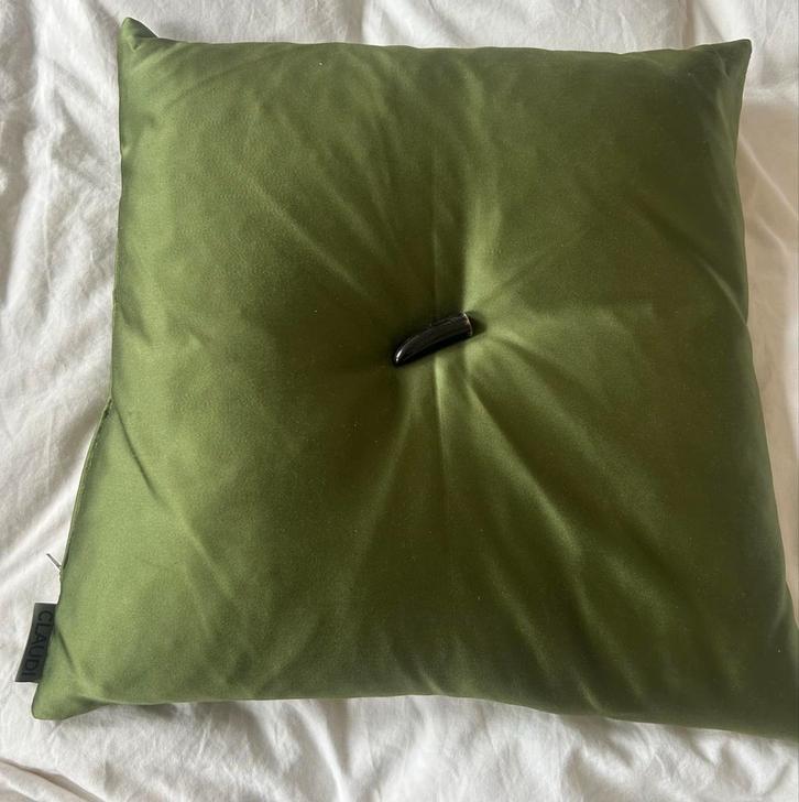 Claudi Kussen, Huis en Inrichting, Woonaccessoires | Kussens, Zo goed als nieuw, Groen, Vierkant, Ophalen of Verzenden