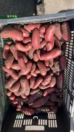 Aardappelen “Rozeval”, Tuin en Terras, Ophalen of Verzenden, Zo goed als nieuw