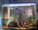 Superfish home 85, Dieren en Toebehoren, Ophalen, Nieuw, Leeg aquarium