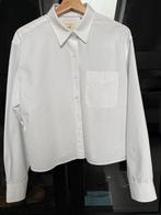 Uniqlo x JW anderson  cropped shirt M, Kleding | Dames, Blouses en Tunieken, Maat 38/40 (M), Wit, Ophalen of Verzenden, Zo goed als nieuw