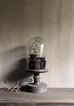 Glazen stolp op verweerde houten voet #50cm #hoffz #sober, Ophalen, Zo goed als nieuw