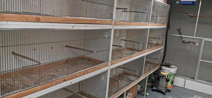 Broedkooien, Dieren en Toebehoren, Vogels | Hokken en Kooien, Broedkooi of Kweekkooi, Ophalen