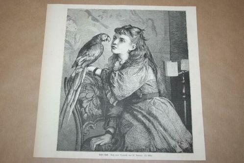 Antieke gravure - Meisje met papegaai - Circa 1875 !!, Antiek en Kunst, Kunst | Etsen en Gravures, Ophalen of Verzenden
