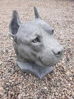 Betonbeeld kop Stafford, Ophalen, Nieuw, Beton, Dierenbeeld