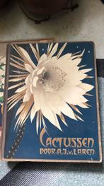Verkade Boek- Cactussen, Ophalen of Verzenden, Gelezen, Kamerplanten