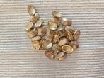 Studs: ovaal rib goudkleurig, Hobby en Vrije tijd, Ophalen of Verzenden, Nieuw, Overige typen