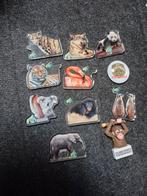 11 ouwehands dierenpark magneten magneet dier, Verzamelen, Ophalen of Verzenden, Zo goed als nieuw, Beeldje of Figuurtje