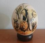 struisvogelei struisvogel ei afrika Aafrikaanse afrikaans, Antiek en Kunst, Ophalen of Verzenden