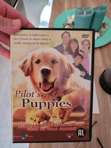 dvd pilot's puppies  beschikbaar voor biedingen