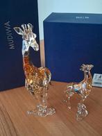 Swarovski jaarstuk Miduwa + Jong (als nieuw), Verzamelen, Swarovski, Ophalen of Verzenden, Zo goed als nieuw