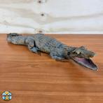 Vintage Opgezette Kaiman Alligator / krokodil (Lengte: 47cm), Ophalen of Verzenden, Gebruikt, Reptiel of Amfibie, Opgezet dier