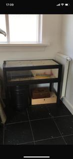 Opvokkooi groeibak kuikens broedkooi compleet, Dieren en Toebehoren, Pluimvee | Toebehoren, Ophalen, Zo goed als nieuw, Overige typen