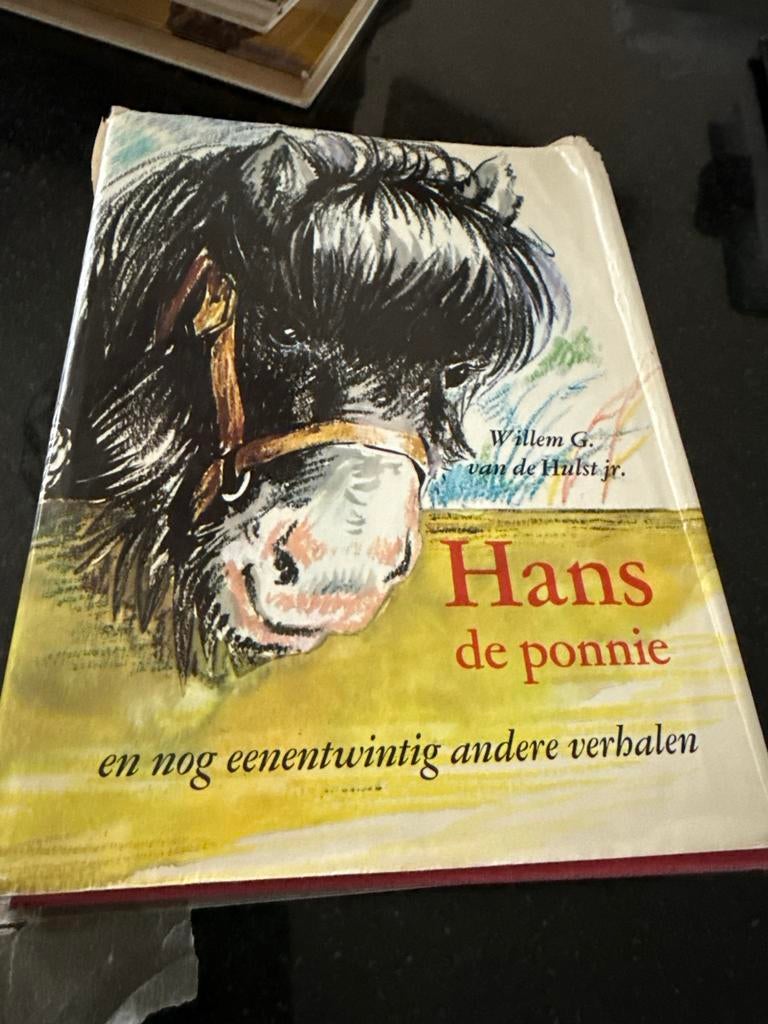 Hans de ponnie - Willem G. van de Hulst jr., Ophalen of Verzenden, Gelezen, Fictie algemeen
