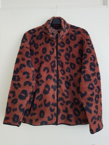 Vest voor dames -- maat L -- Hema beschikbaar voor biedingen