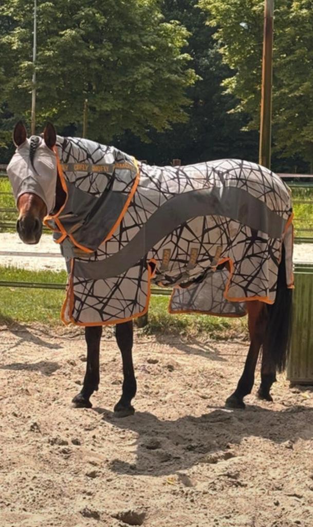 Amigo Camofly 6.0, Dieren en Toebehoren, Paarden en Pony's | Dekens en Dekjes, Zo goed als nieuw, Ophalen of Verzenden