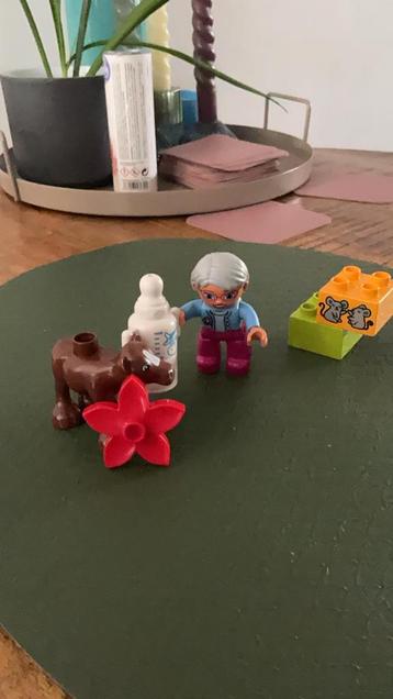Duplo kalfje 10521 beschikbaar voor biedingen