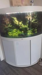 Aquarium, Dieren en Toebehoren, Vissen | Aquaria en Toebehoren, Ophalen, Zo goed als nieuw