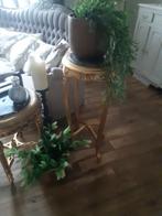 Antieke bois doree planten tafel