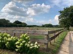 Nog een paar plaatsen op stal met mooie uitrijmogelijkheid, Dieren en Toebehoren, Stalling en Weidegang, Weidegang, 2 of 3 paarden of pony's