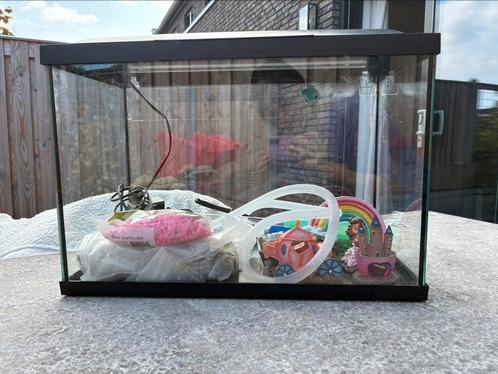 Aquarium 60 liter met filter en toebehoren, Dieren en Toebehoren, Vissen | Aquaria en Toebehoren, Zo goed als nieuw, Leeg aquarium