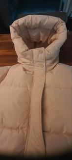 Mooie beige lange puffer jas, Kleding | Dames, Maat 38/40 (M), Beige, Ophalen of Verzenden, Zo goed als nieuw