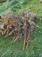 Grote hoeveelheid wilgentakken/wilgentenen, Ophalen, Overige soorten