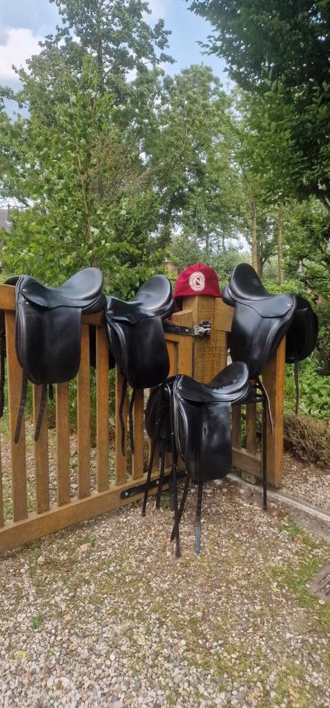 6x Ninon Schutte: Sentrix/ Bermonde/ Silver/Classic, Dieren en Toebehoren, Paarden en Pony's | Zadels, Ophalen of Verzenden