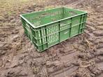 Del haize groente kisten   / kratten, Ophalen, Gebruikt, 40 tot 60 cm, 50 tot 75 cm