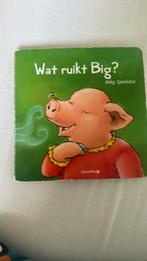 Anky Spoelstra - Wat ruikt Big?, Ophalen, Gelezen, Anky Spoelstra
