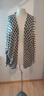 Licht grijs vest met zwarte noppen, lange mouw, maat+/_42, Kleding | Dames, Ophalen of Verzenden, Zo goed als nieuw, Maat 38/40 (M)