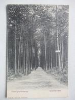 P75 Ginneken - Eeuwigheidslaantje, Verzamelen, Ansichtkaarten | Nederland, Verzenden, Voor 1920, Ongelopen, Noord-Brabant