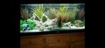 Aquarium kunstplanten, Ophalen, Zo goed als nieuw, Grind, Zand of Voedingsbodem