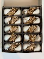 10x Keramische Vogel Peper & Zout Stelletjes, Ophalen of Verzenden, Nieuw, Overige materialen