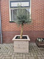 Plantenbakken in alle maten, steigerhout, douglas, zwart, Tuin en Terras, Bloembakken en Plantenbakken, Nieuw, Tuin, Minder dan 60 cm