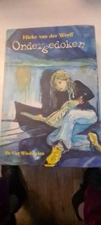 Ondergedoken - Hieke van der Werff, Ophalen of Verzenden, Zo goed als nieuw, Hieke van der Werff, Fictie algemeen