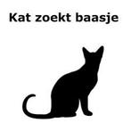 Nieuw huisje gezocht voor onze poes, Dieren en Toebehoren, Katten en Kittens | Overige Katten, Poes, Kortharig, 3 tot 5 jaar
