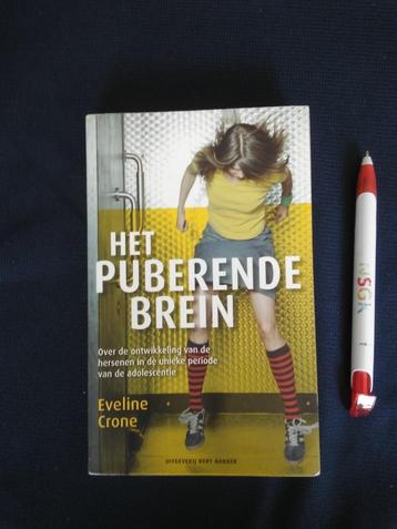 Het puberende brein. Eveline Crone beschikbaar voor biedingen